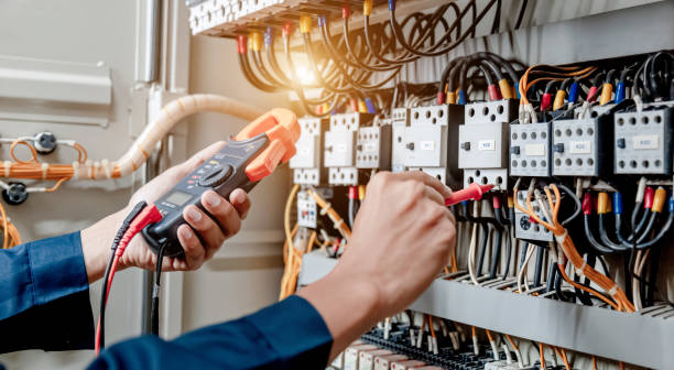Best Electrician for Home Renovation  in Livingston, AL