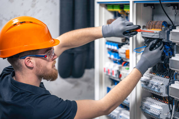 Best Electric Panel Repair  in Livingston, AL